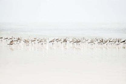 BEACH GATHERING