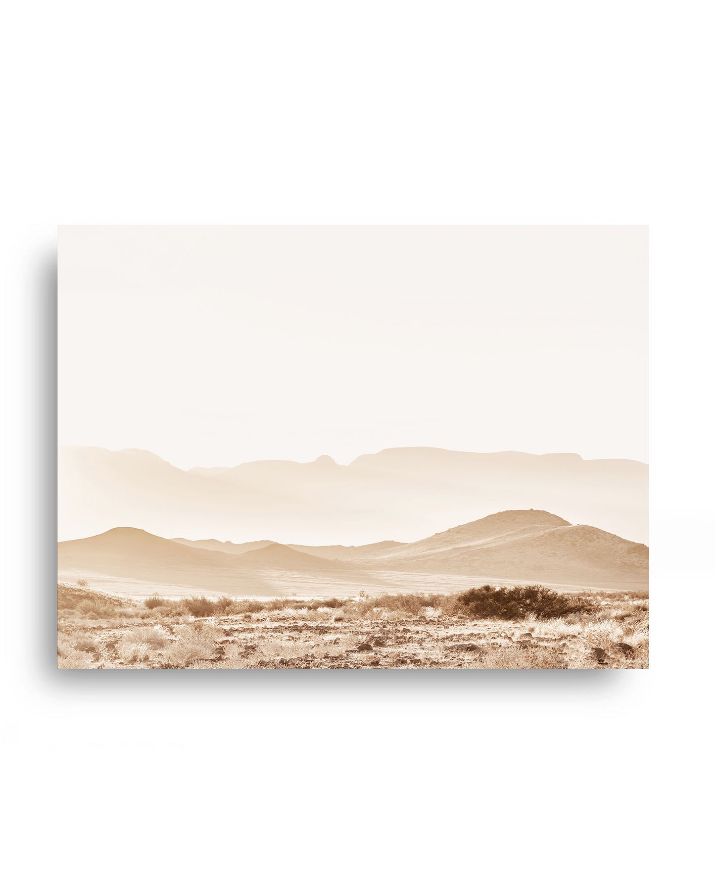 Sunlit Valley