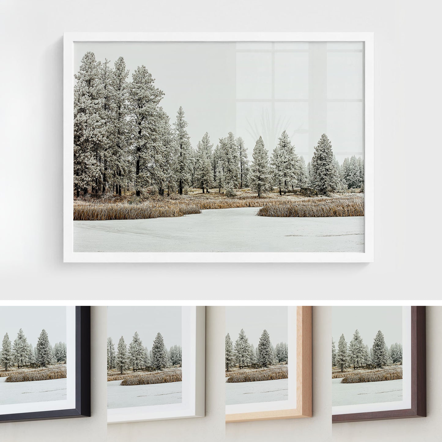 Winter Wilderness
