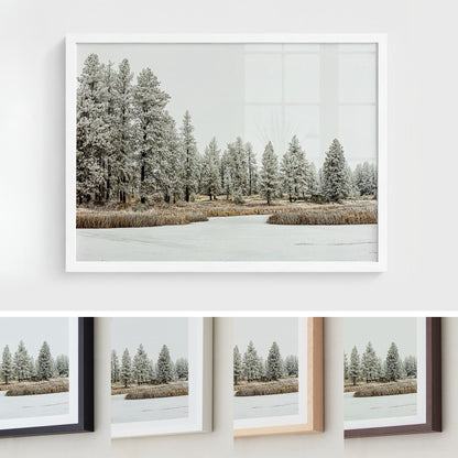 Winter Wilderness