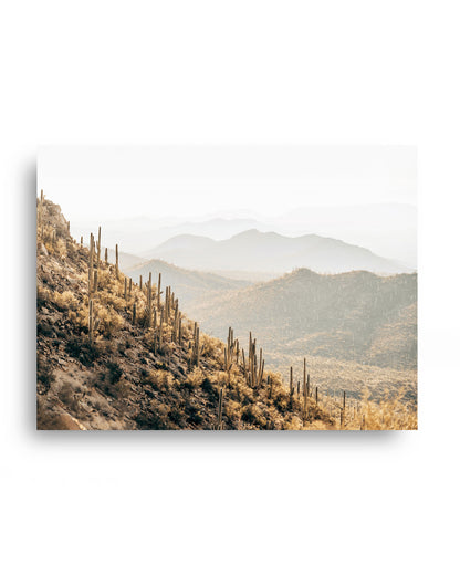 Saguaro Mountains