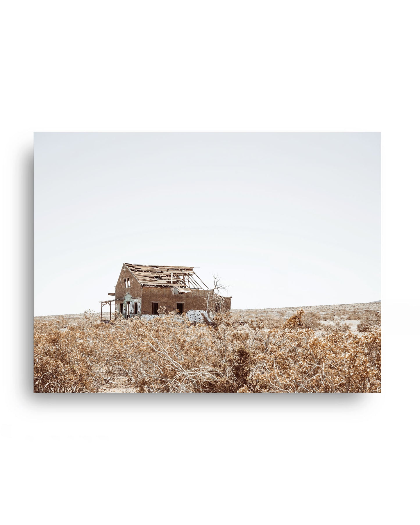 Lost Desert Homestead