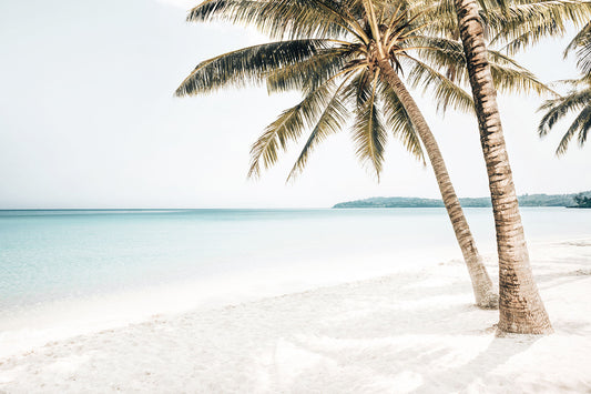 Tropical beach photography featuring leaning coconut palm trees, soft white sand, and calm turquoise ocean water in light, airy neutral tones.
