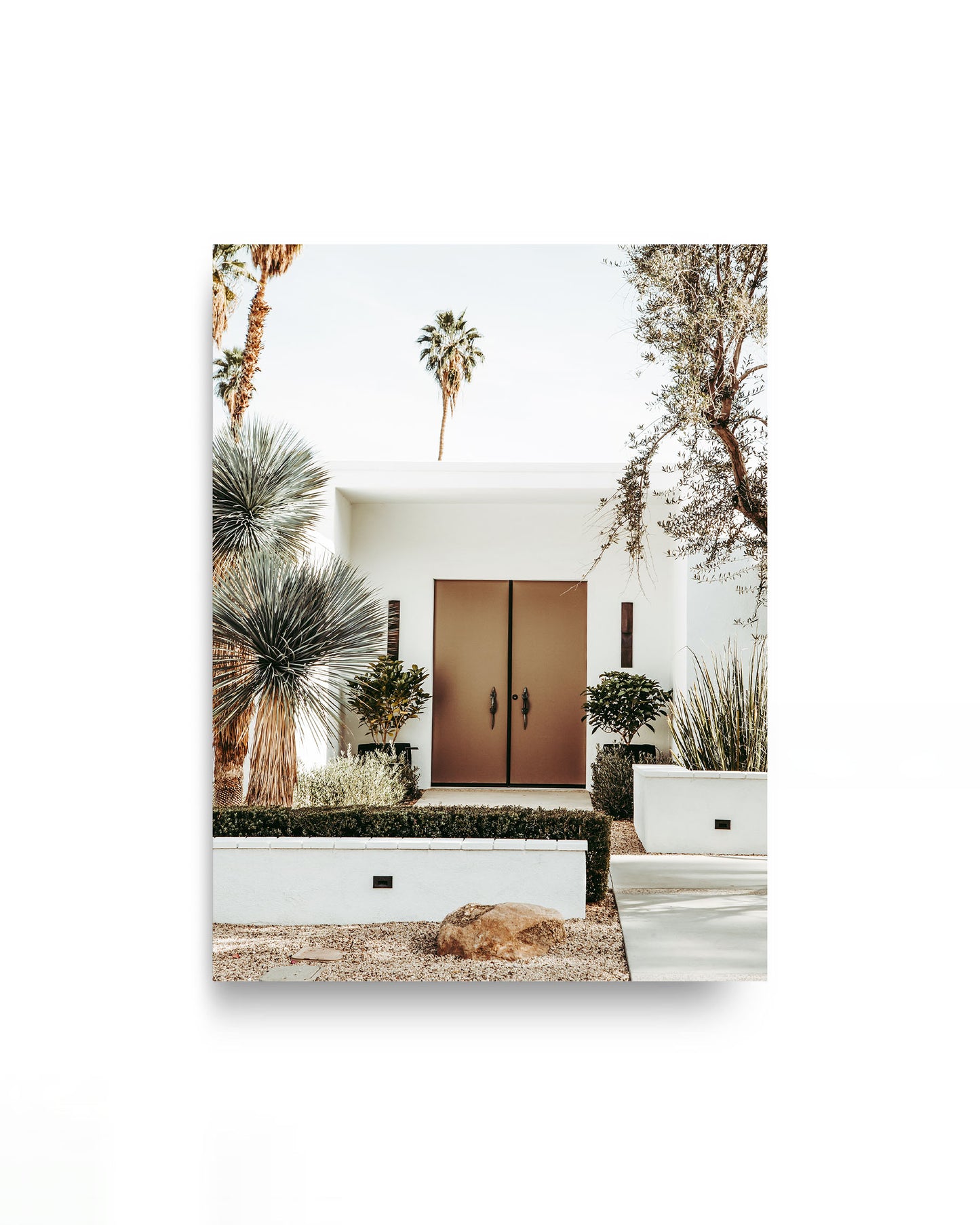 Desert Arrival