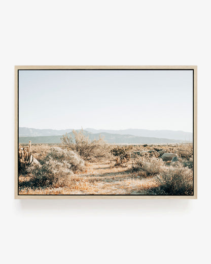 Desert Stillness