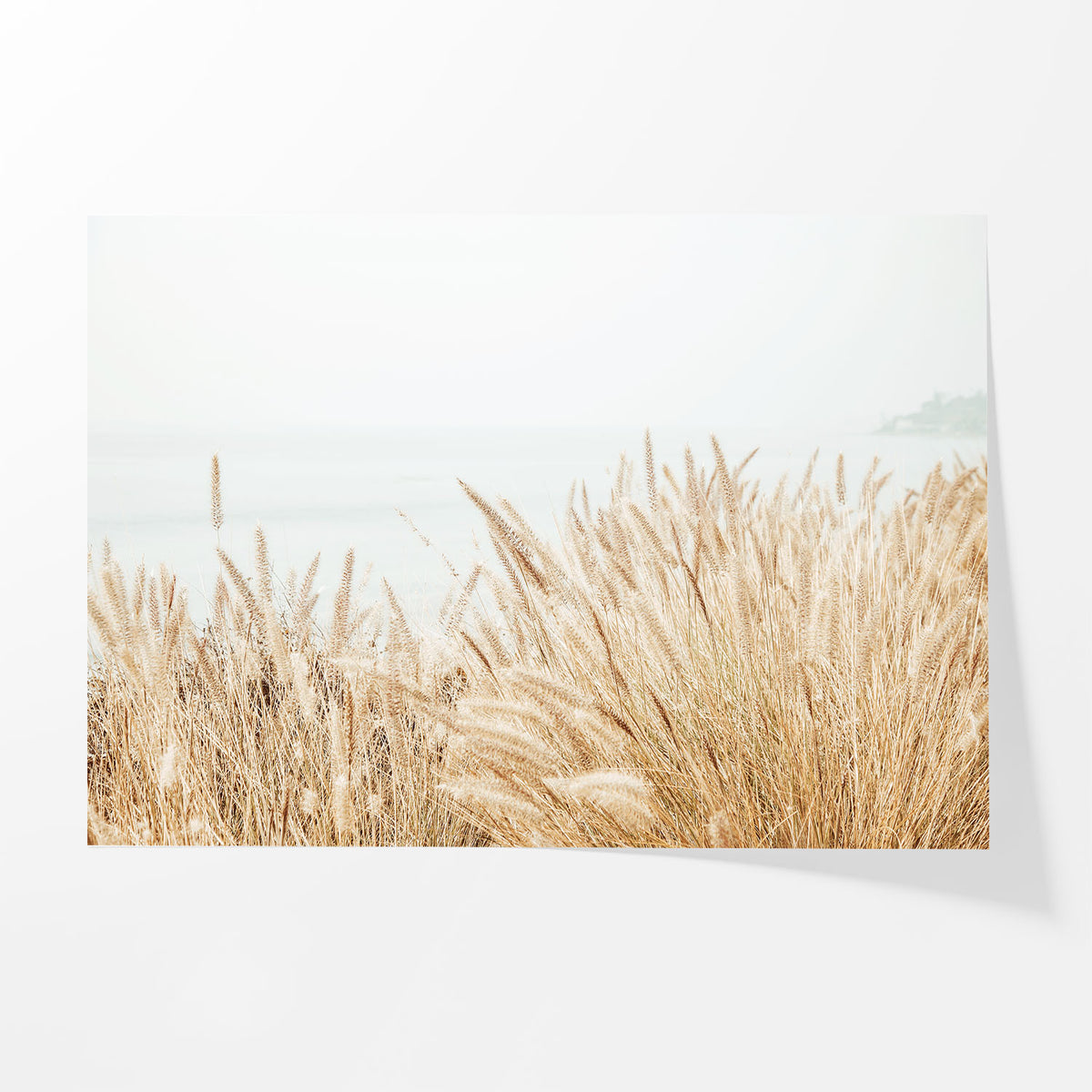 Along the Bluff