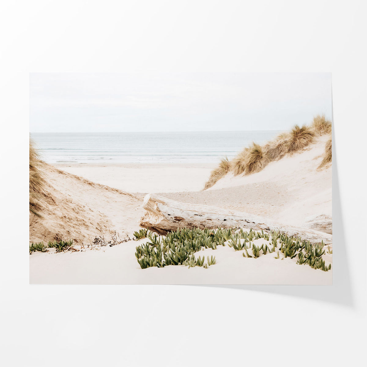 Dune Passage