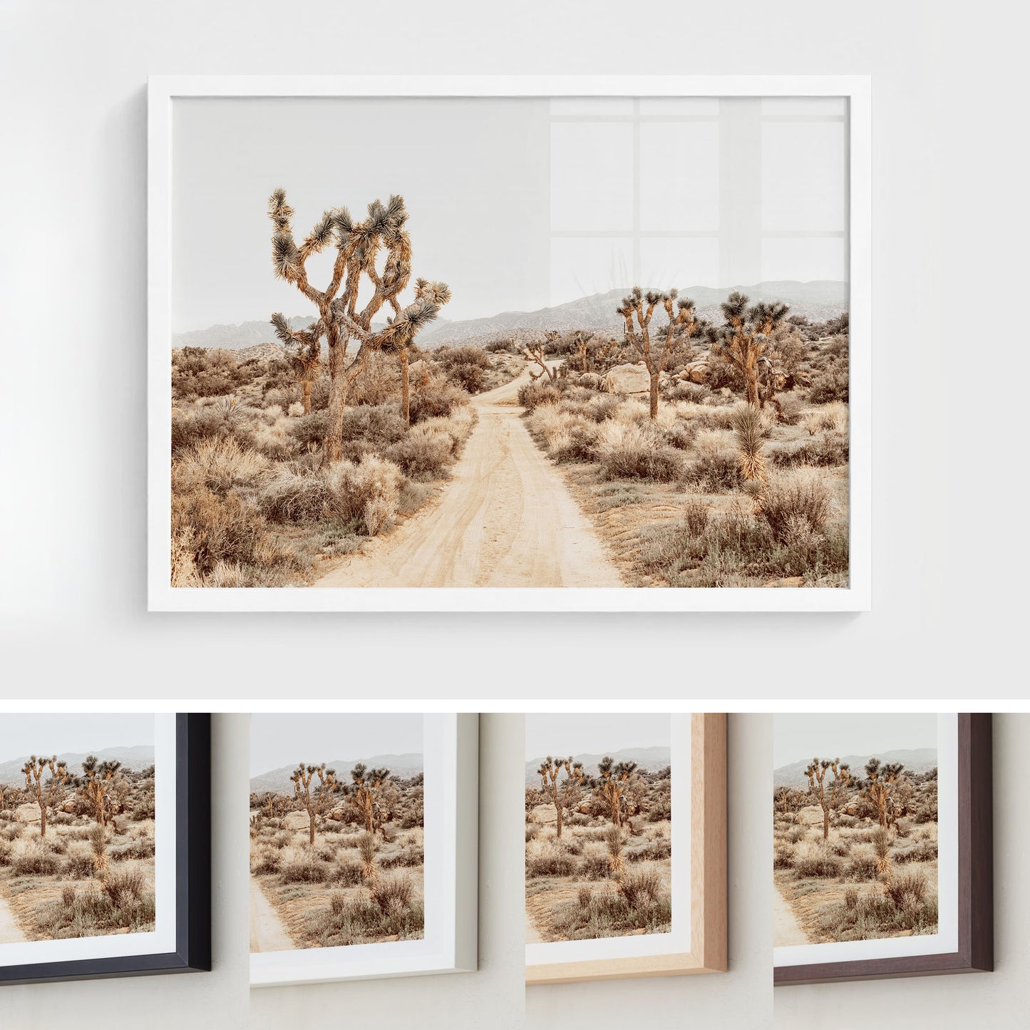 Open Desert Road