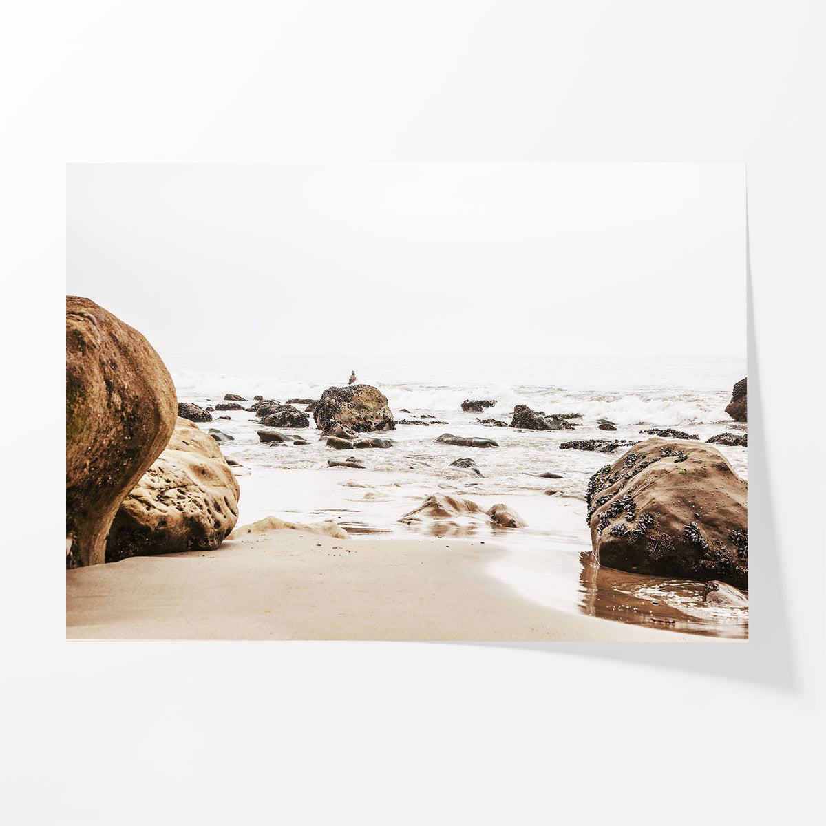 Malibu Rocky Shore
