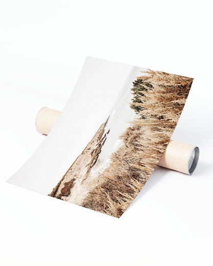 Coastal Bluffs – Montana De Oro Wall Art