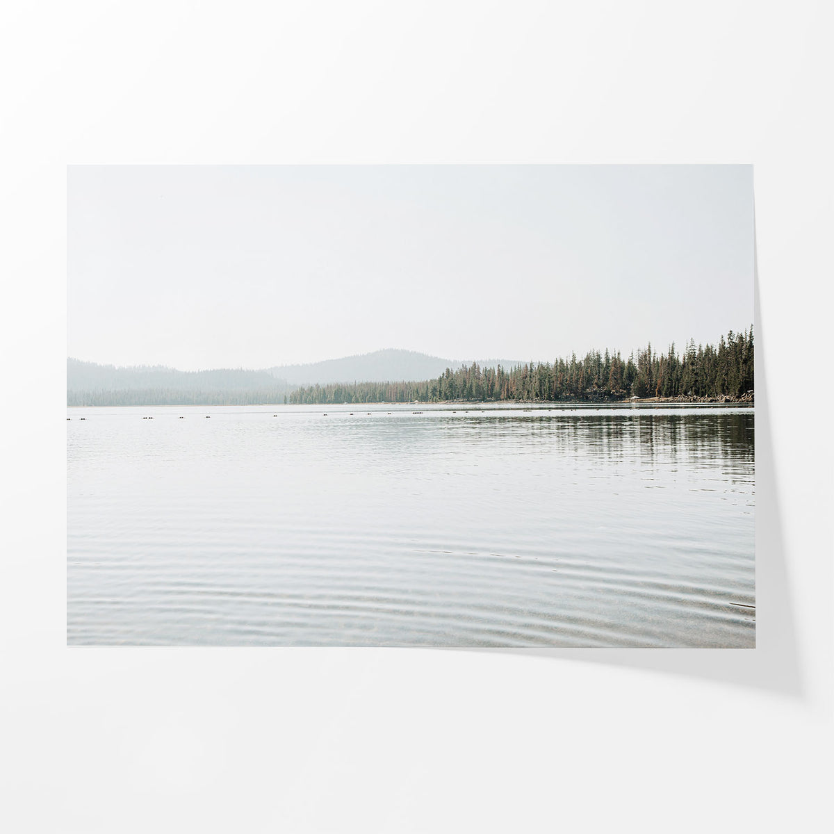 Across Quiet Water