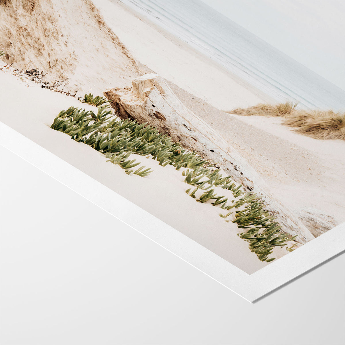 Dune Passage