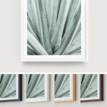 Botanical Symmetry