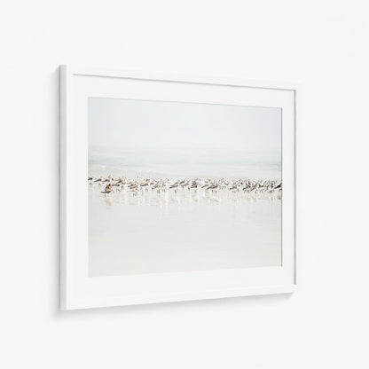 BEACH GATHERING