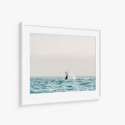 SEA GIANT