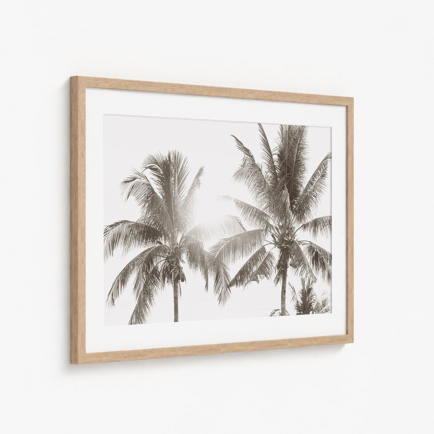 HAWAIIAN PALMS