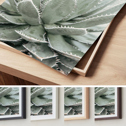 Desert Bloom – Succulent Wall Art