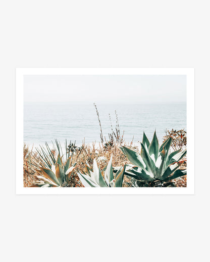 San Clemente botanical wall art featuring sculptural agave plants growing above the calm blue Pacific Ocean along the California coast.