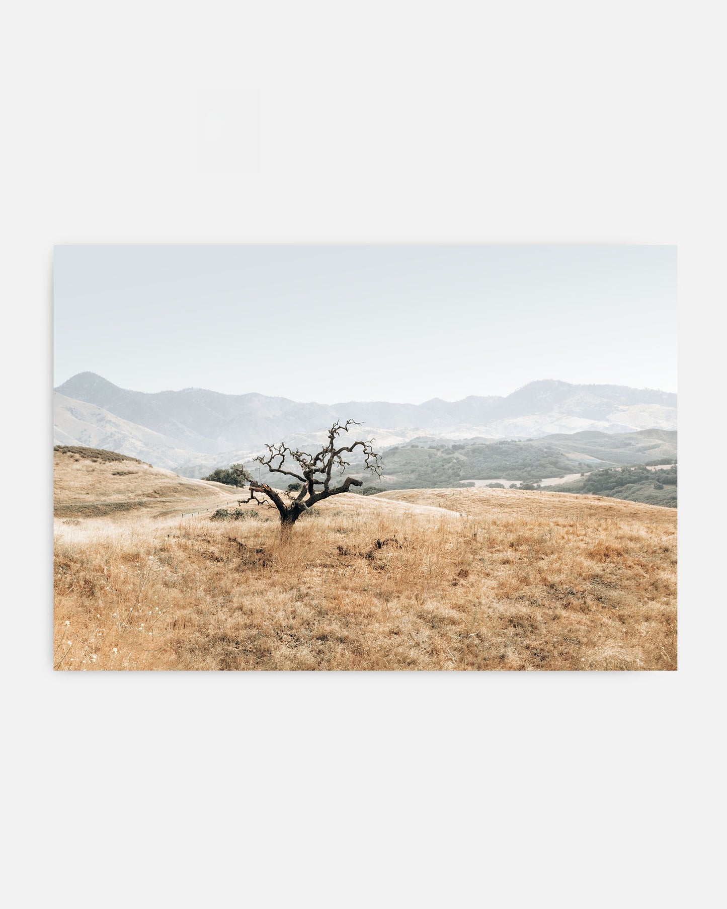 Golden Terrain