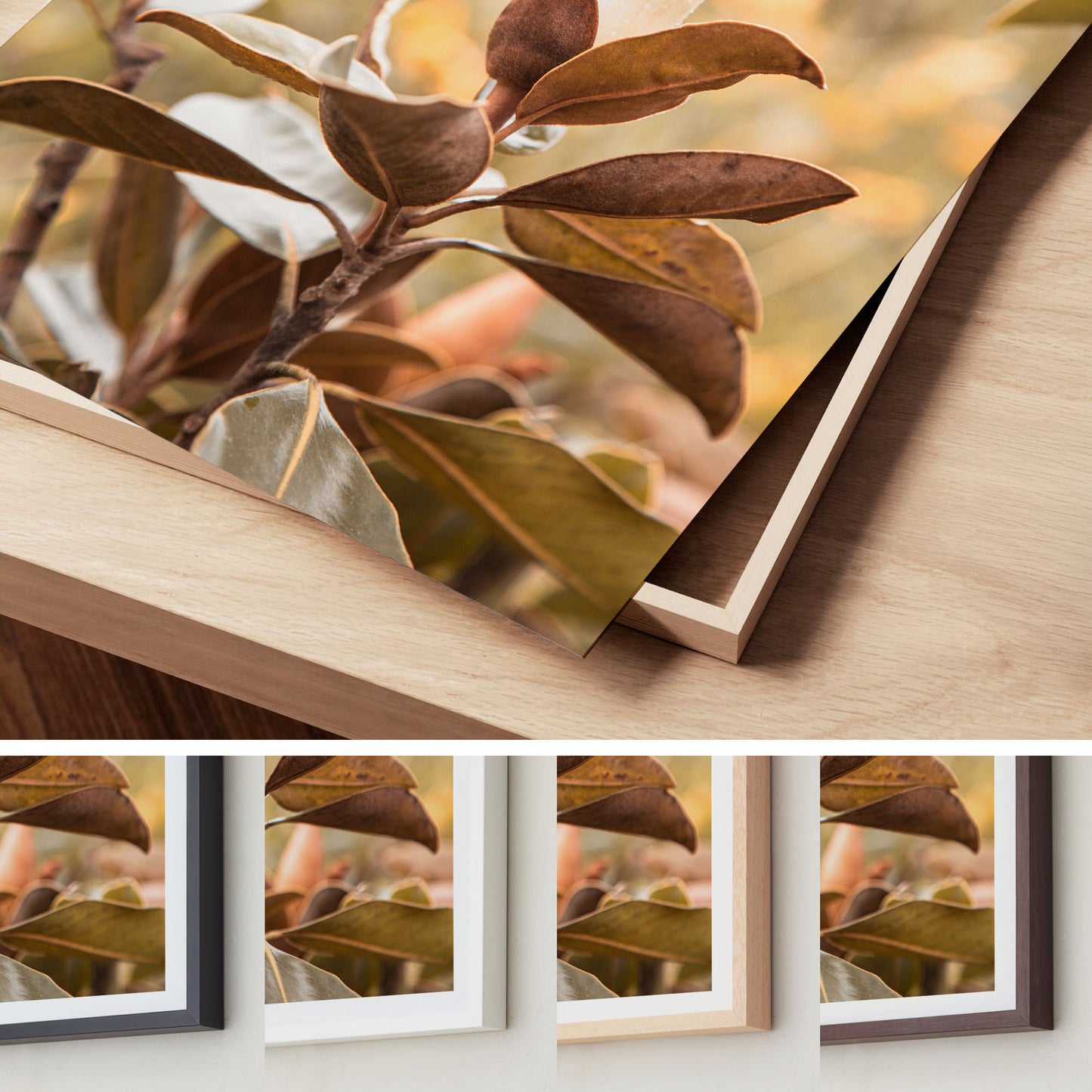 Soft Bloom – Magnolia Wall Art