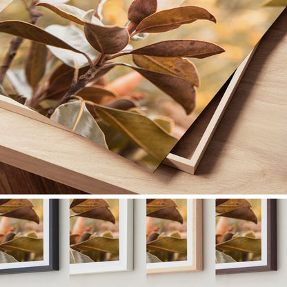 Soft Bloom – Magnolia Wall Art