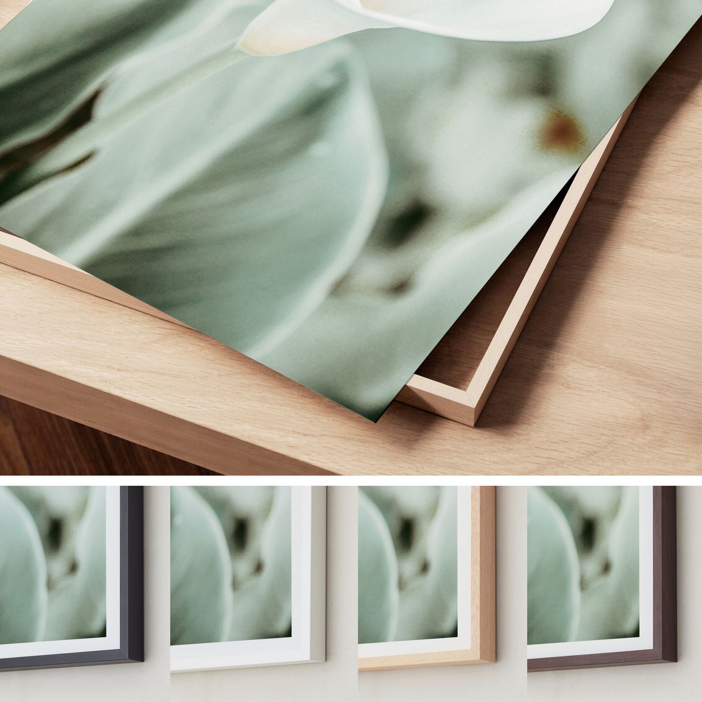 Quiet Bloom – Calla Lily Wall Art