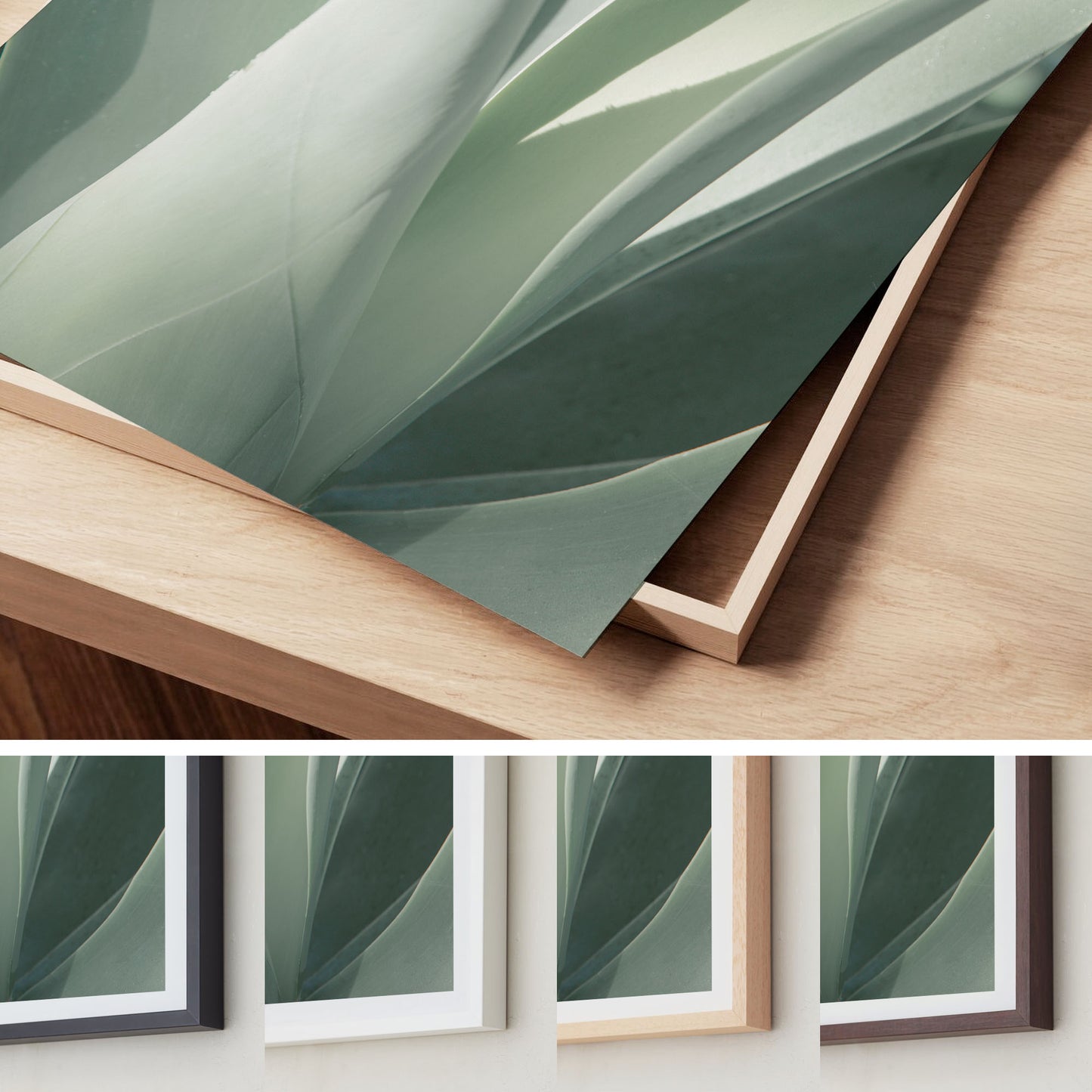 Soft Green – Agave Wall Art