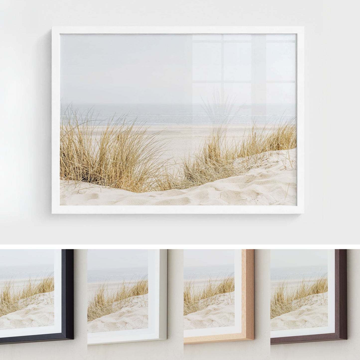 Coastal Dune Grass