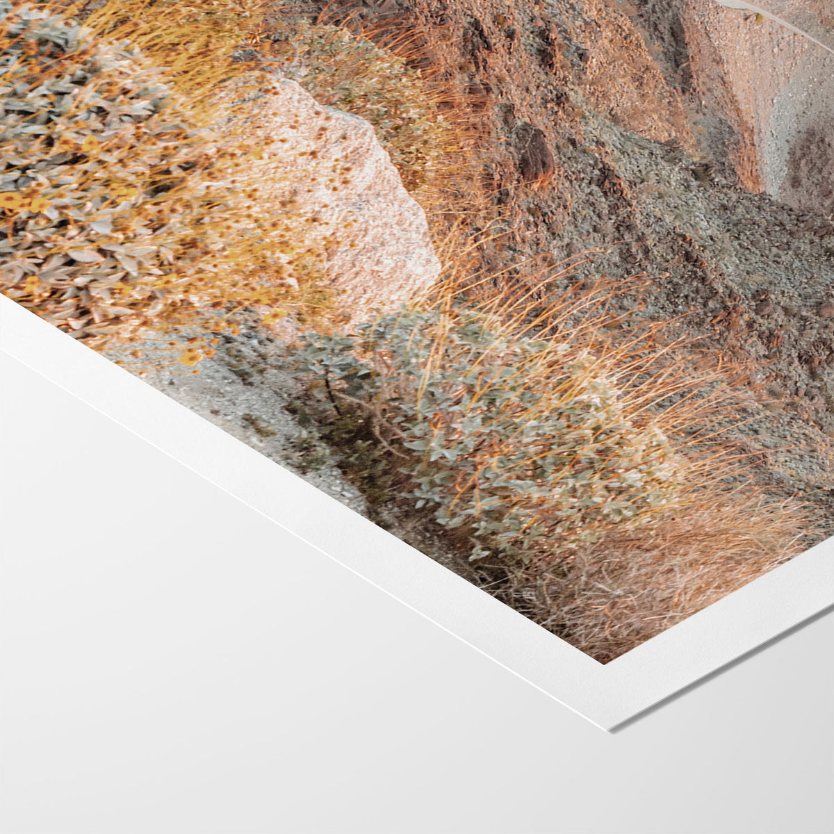 Valley of Light I