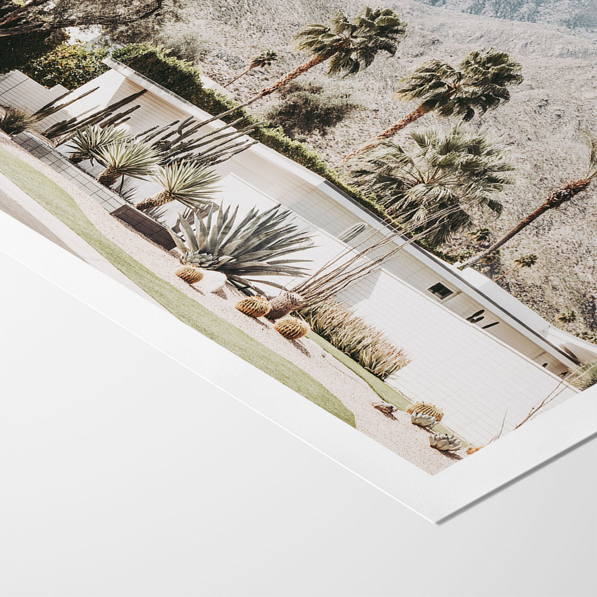 Mountain Modern