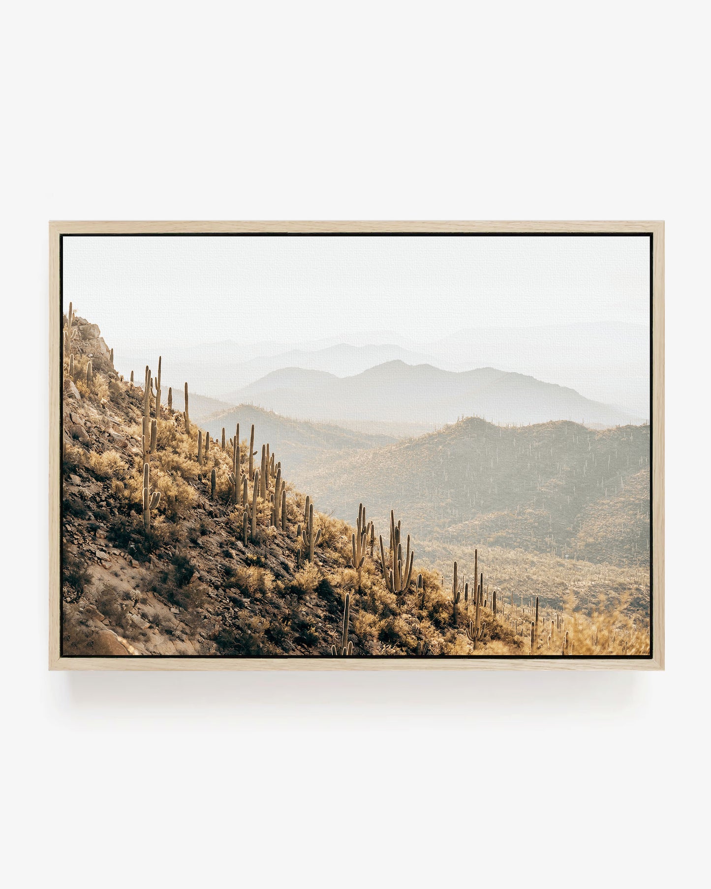 Saguaro Mountains