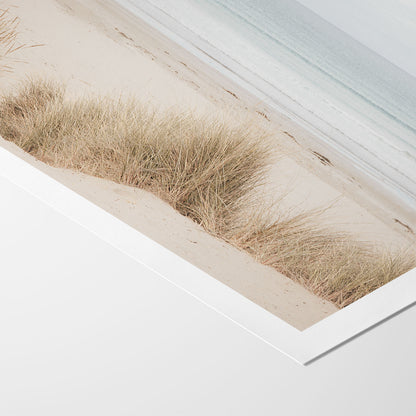 Coastal Dune Grass