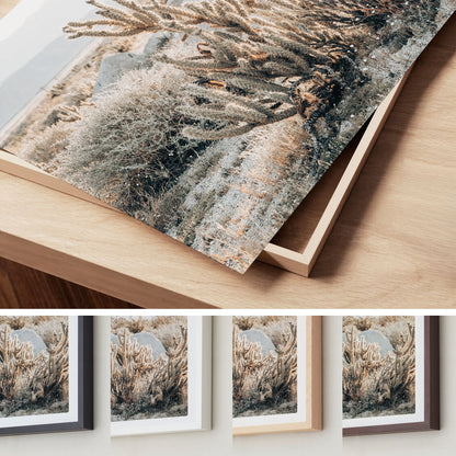 Cactus Texture – California Desert Wall Art