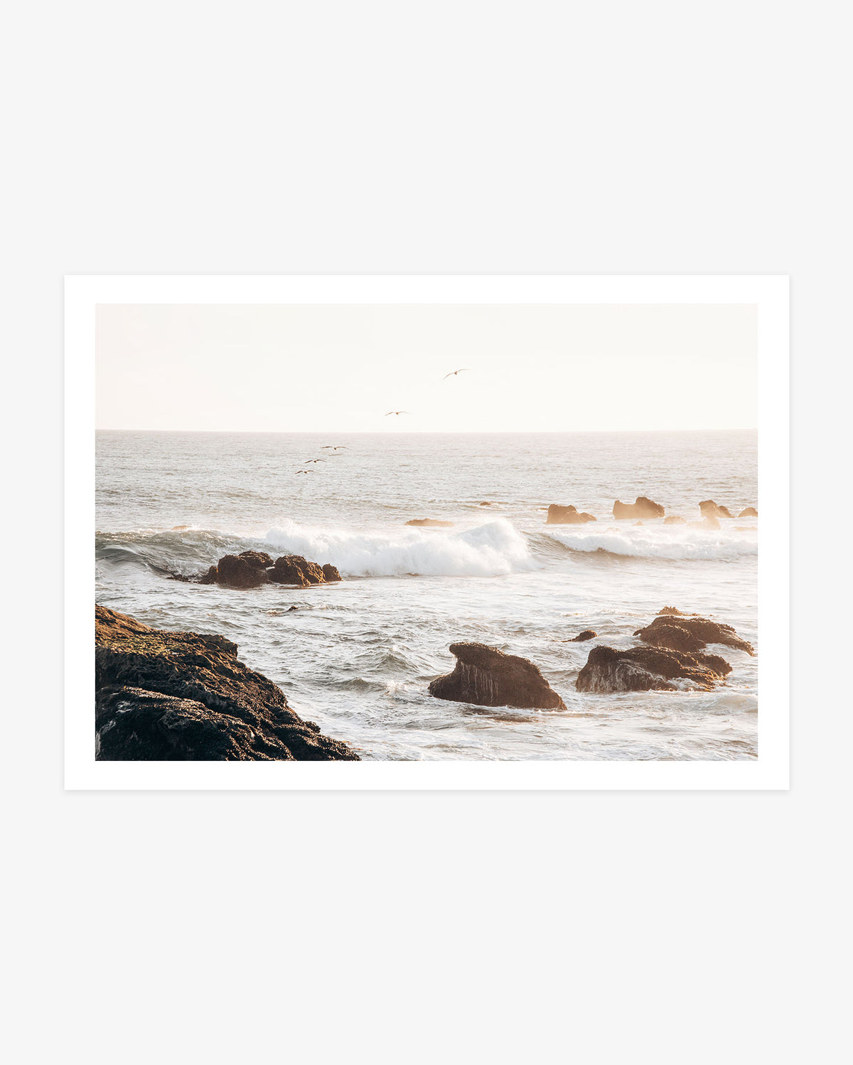 Dana Point coastal wall art featuring seabirds flying above sunlit Pacific waves breaking around rugged shoreline rocks.