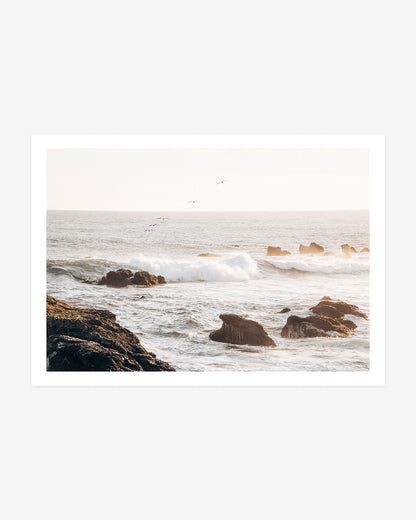 Dana Point coastal wall art featuring seabirds flying above sunlit Pacific waves breaking around rugged shoreline rocks.