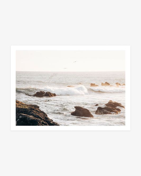 Dana Point coastal wall art featuring seabirds flying above sunlit Pacific waves breaking around rugged shoreline rocks.