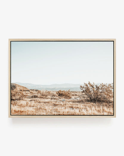 Anza Borrego Desert