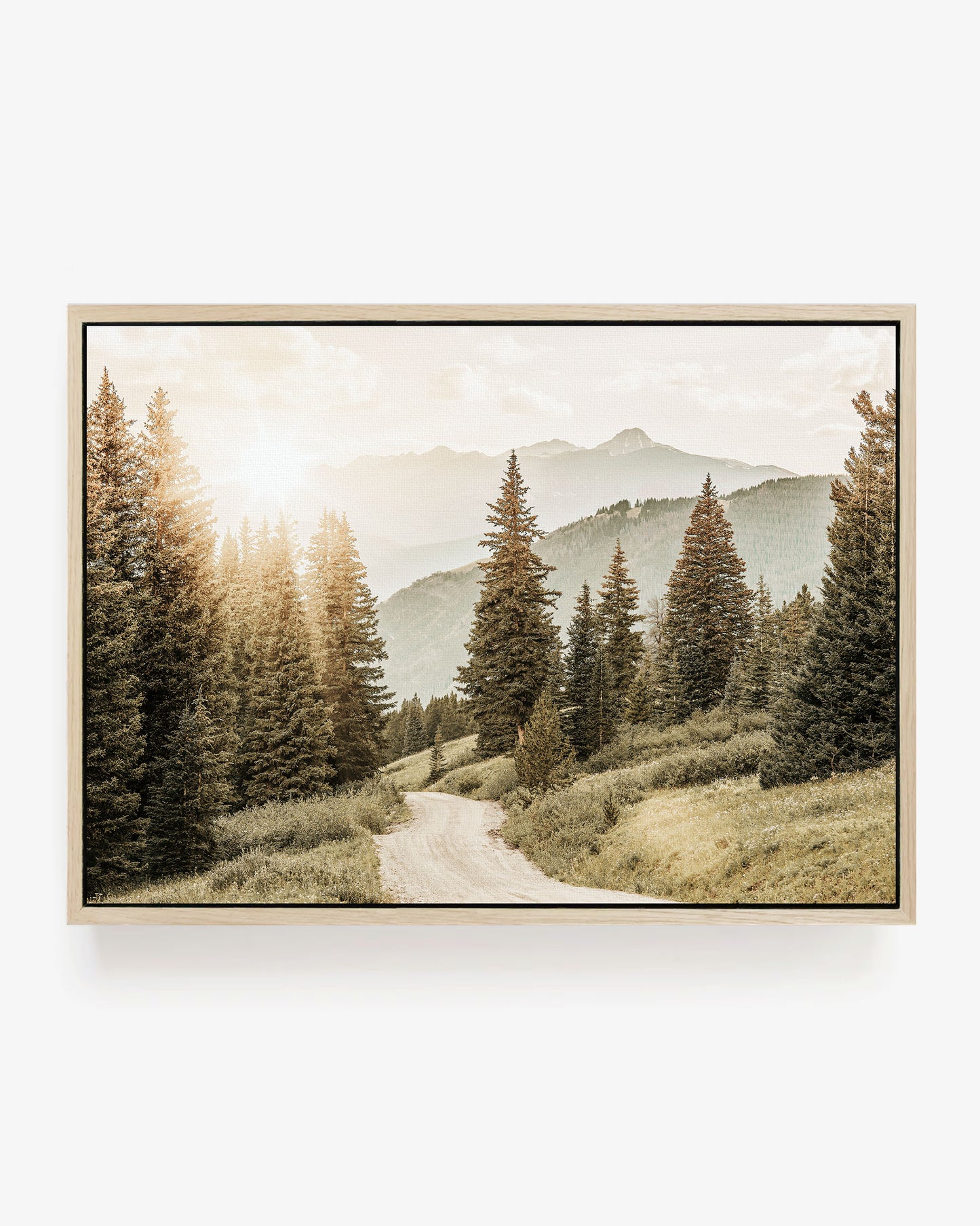 Colorado Mountain Trail