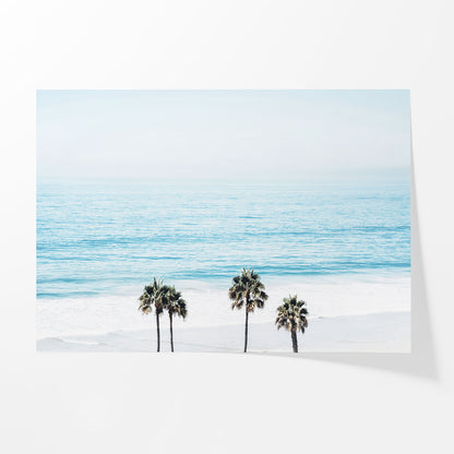 Pacific Palms
