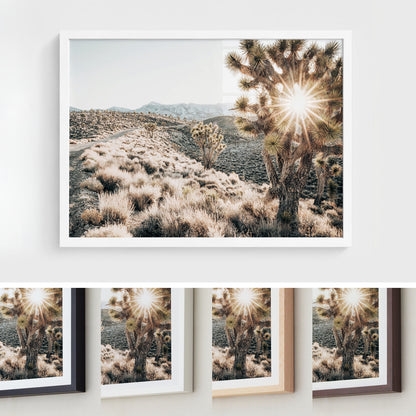 Desert Light