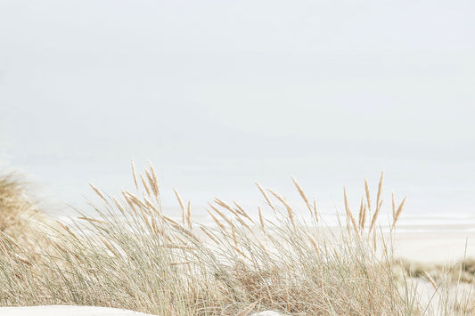 Minimalist coastal dune photography featuring golden beach grass growing in soft white sand, with a hazy ocean backdrop and airy neutral beige tones.