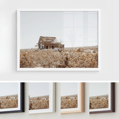 Lost Desert Homestead