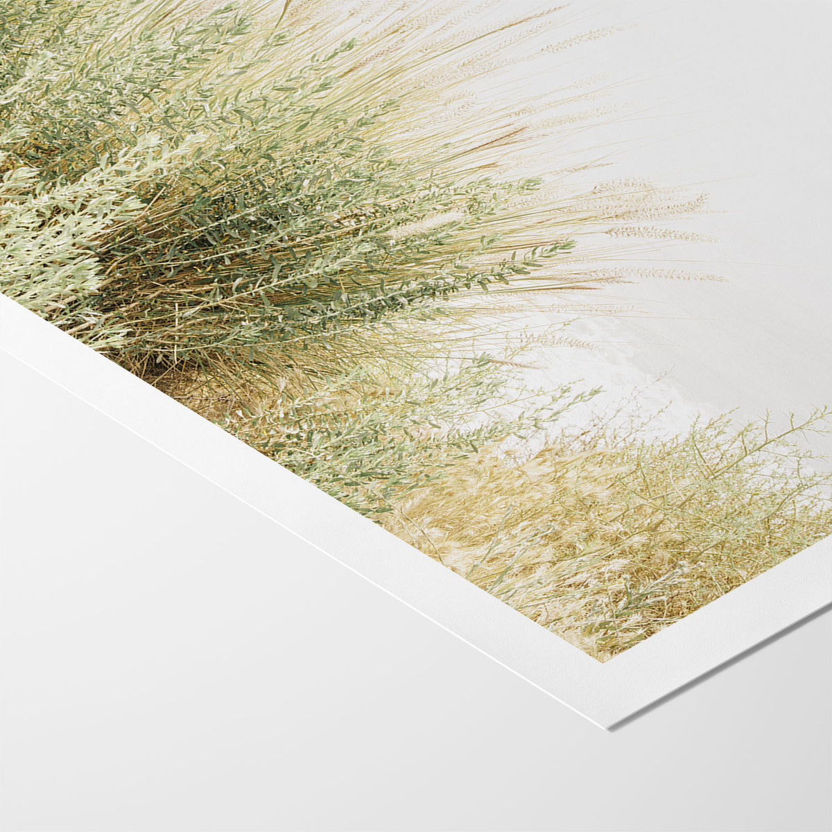 Wild Grasses