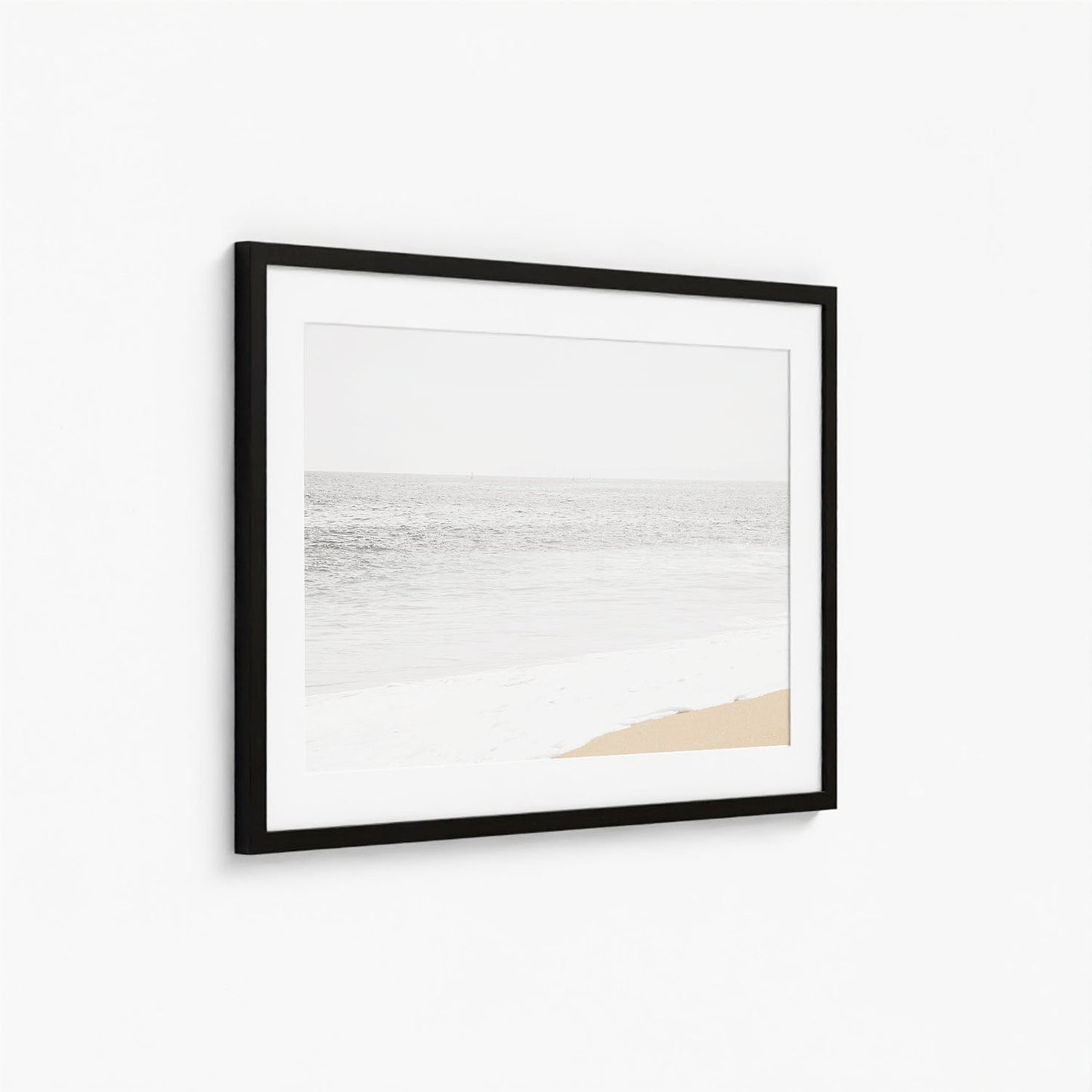 MUTED COAST