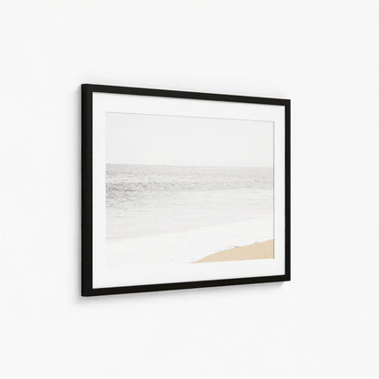 MUTED COAST