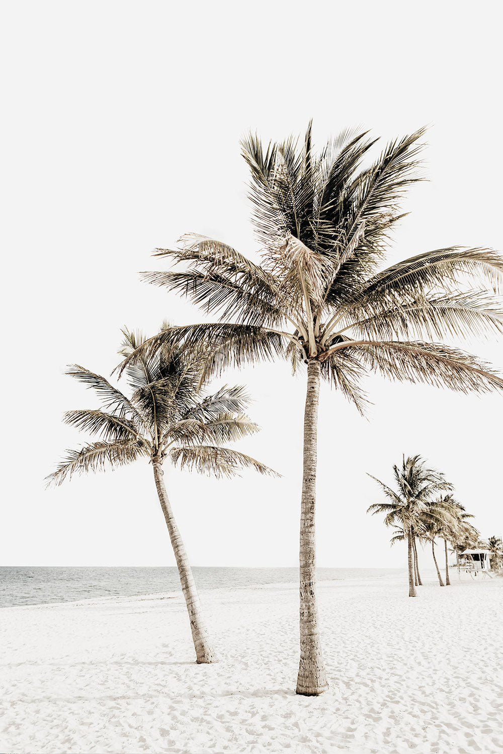 TROPICA