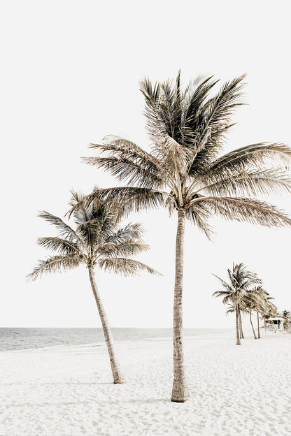 TROPICA
