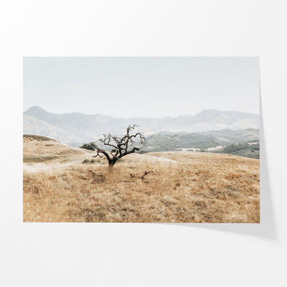 Golden Terrain