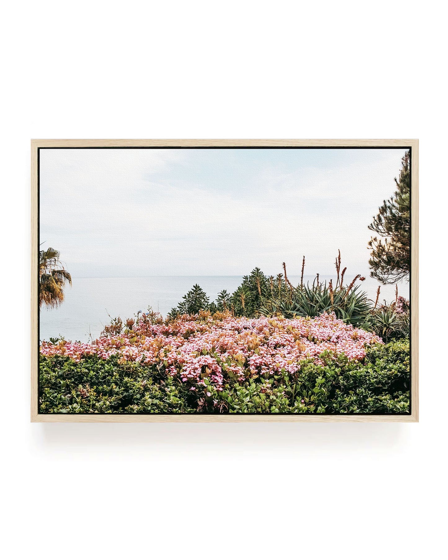 Coastal Blooms – Laguna Beach Wall Art