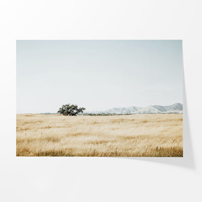 Quiet Prairie